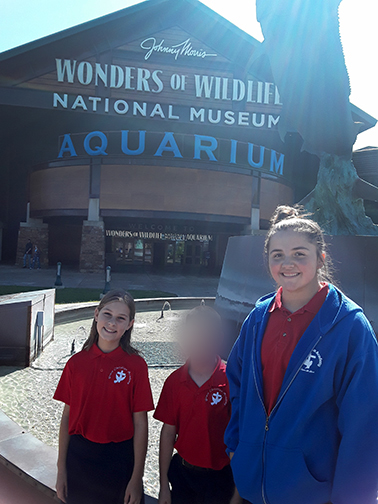Honor Roll Field Trip – Wonders of Wildlife Museum